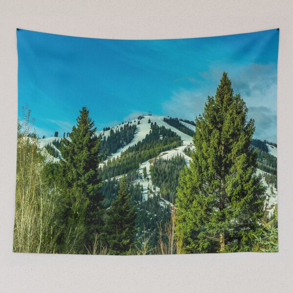 Item preview, The Runs on Bald Mountain designed and sold by Bryan Spellman.