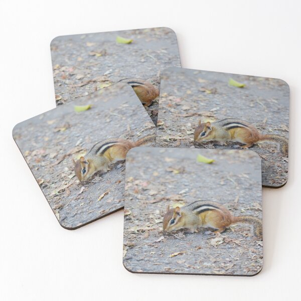Item preview, Cute chipmunk on the path designed and sold by NorthernSnappy.