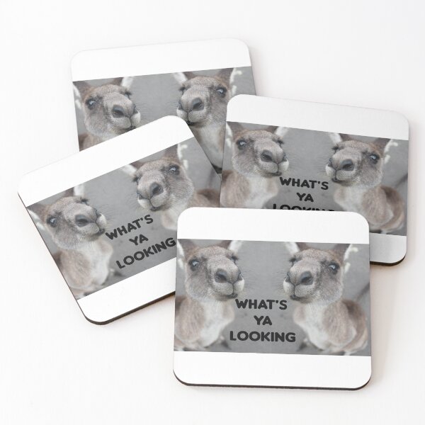 Item preview, What's ya looking kangaroos  designed and sold by Spasija.