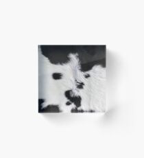 Cowhide Patch Acrylic Block