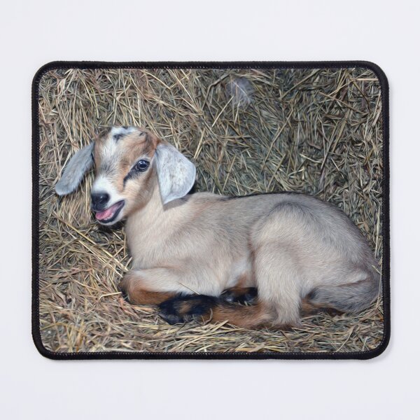 Item preview, Baby Goat designed and sold by Savannah Gibbs.