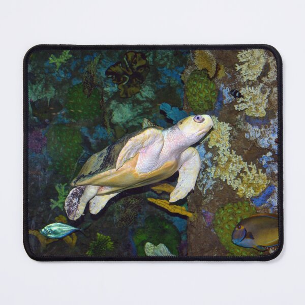 Item preview, Sea Turtle designed and sold by Savannah Gibbs.