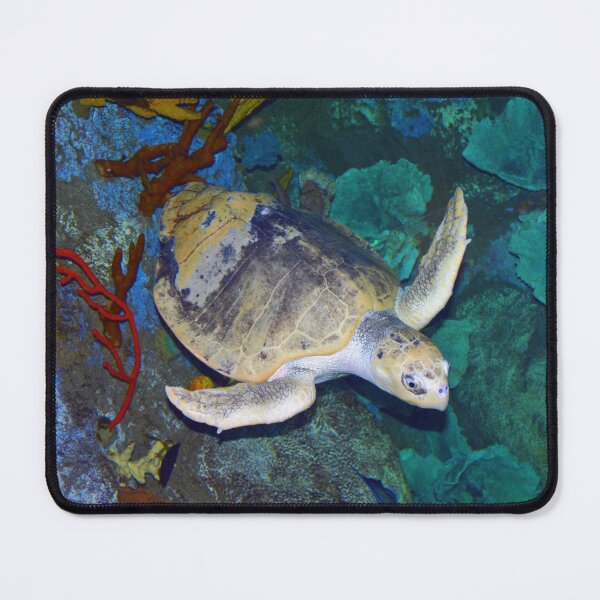 Item preview, Kemp's Ridley Sea Turtle designed and sold by Savannah Gibbs.