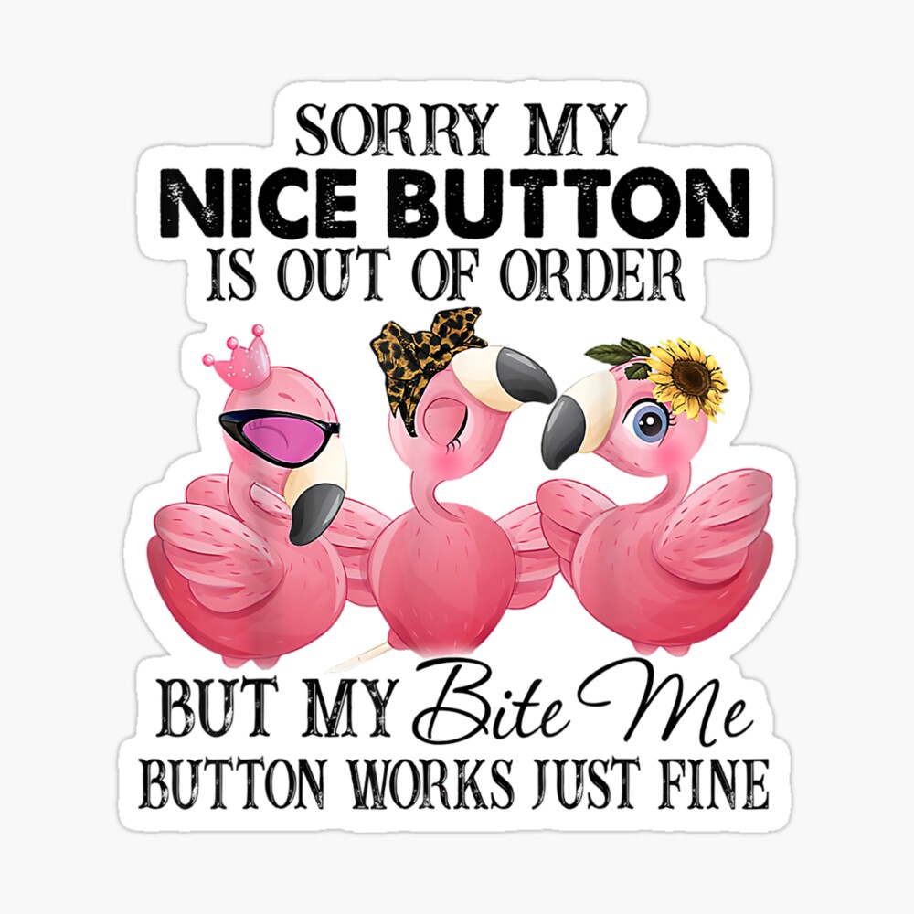 Sorry My Nice Button Is Out Of Order Funny Flamingo Lovers T-Shirt