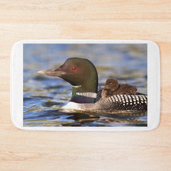 Item preview, Common loon and chick designed and sold by James Cumming.
