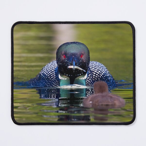 Item preview, Take-out finally arrives - Common Loon - Buck Lake, Ontario designed and sold by James Cumming.