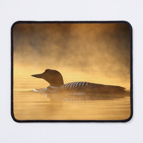 Item preview, Into the Mist - Common Loon designed and sold by James Cumming.