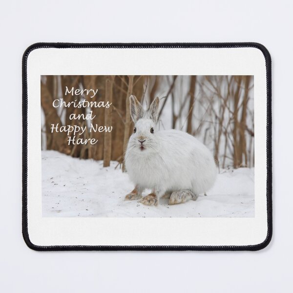 Item preview, Snowshoe hare Christmas designed and sold by James Cumming.