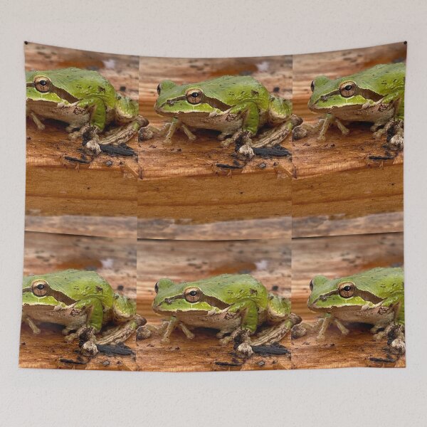 Item preview, Frogger designed and sold by Beau Gordon.