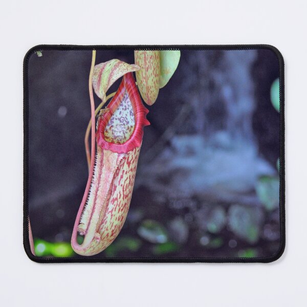 Item preview, Nepenthes designed and sold by Savannah Gibbs.
