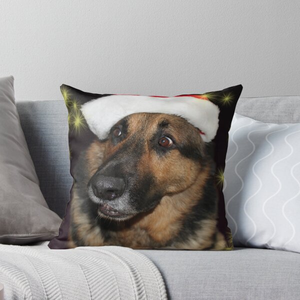 Item preview, Bruzer Discovers Santa designed and sold by Marija.