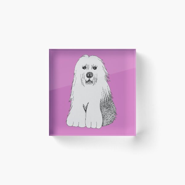 Old English Sheepdog Acrylic Block