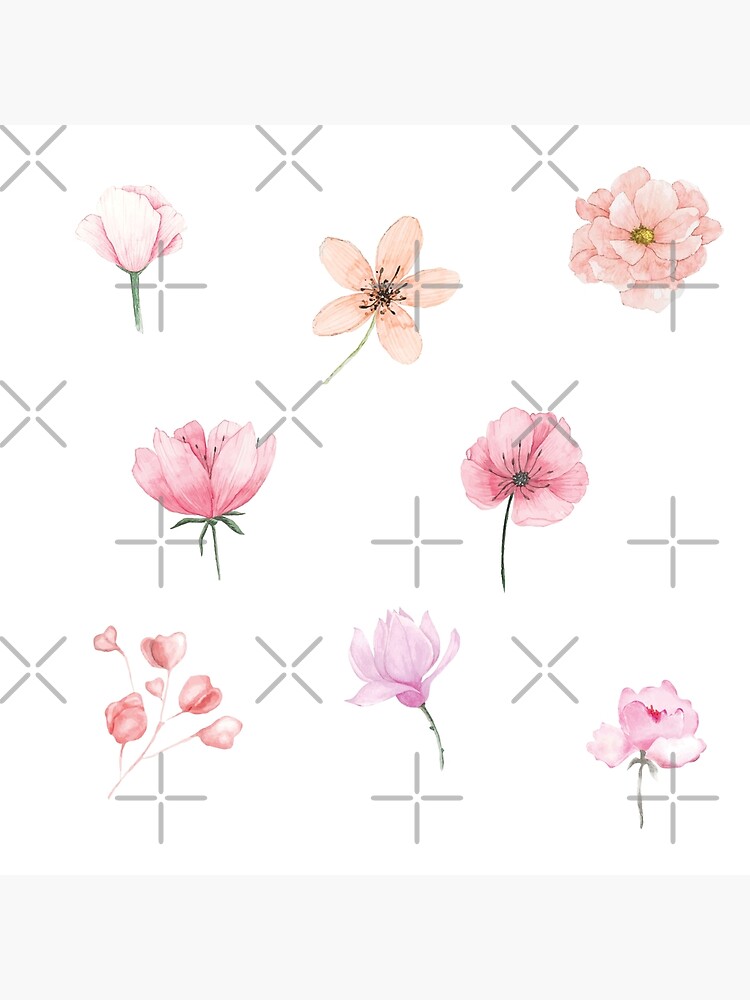 "Pastel Pink Watercolor Pink Flowers Mixed Floral Botanical" Poster for Sale by silviaol Redbubble