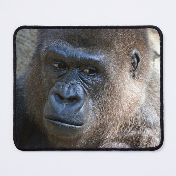 Item preview, Gorilla designed and sold by Savannah Gibbs.