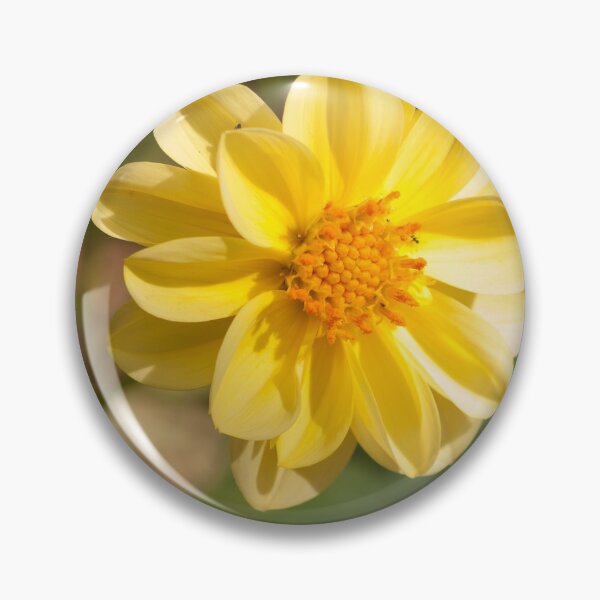 Artikelvorschau, Yellow daisy entworfen und verkauft von rajeshbac.
