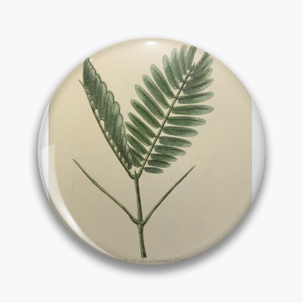 Aperçu de l'œuvre Conception de plantes vintage, classification des plantes créée et vendue par claire-jean.