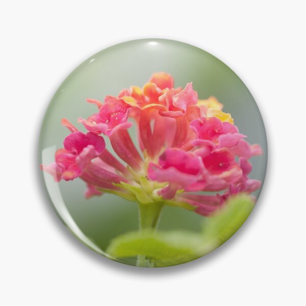 Item preview, macro shot of lantana. designed and sold by rajeshbac.