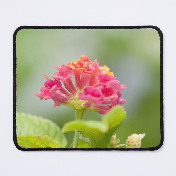 Item preview, macro shot of lantana. designed and sold by rajeshbac.