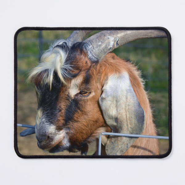 Item preview, Billy Goat designed and sold by Savannah Gibbs.