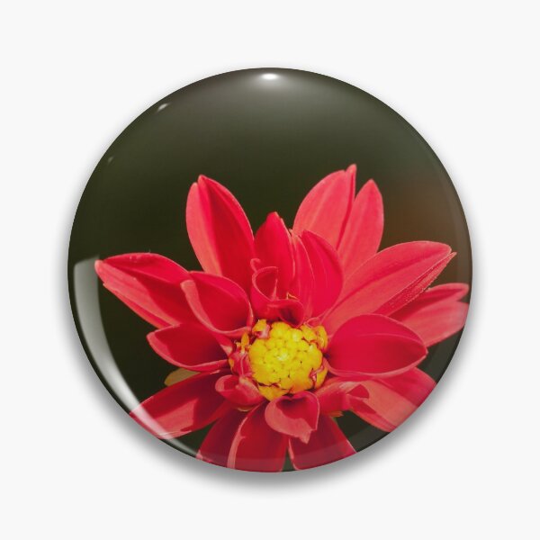 Item preview, Red Daisy designed and sold by rajeshbac.