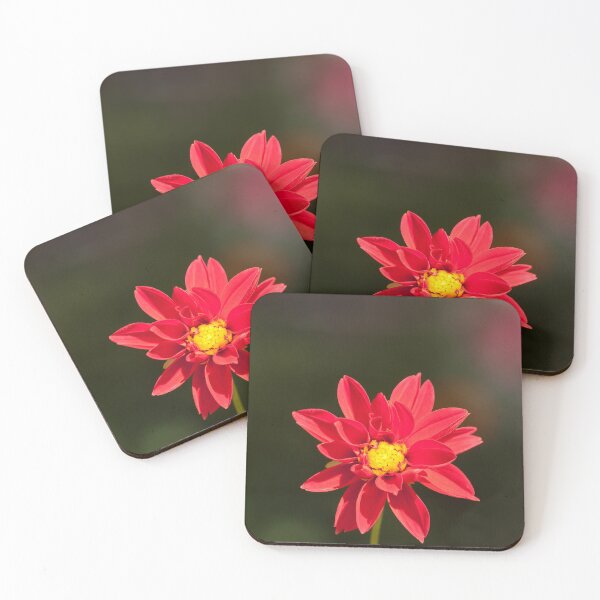 Item preview, Red Daisy designed and sold by rajeshbac.