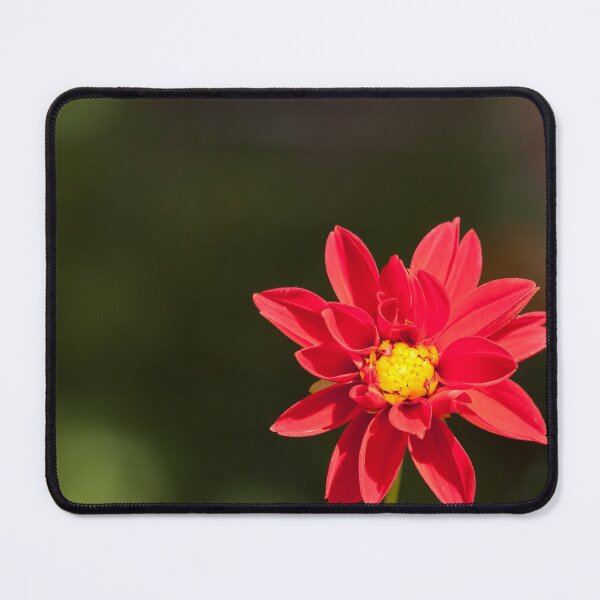 Item preview, Red Daisy designed and sold by rajeshbac.