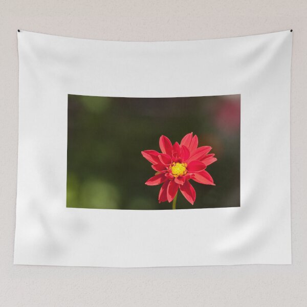 Item preview, Red Daisy designed and sold by rajeshbac.
