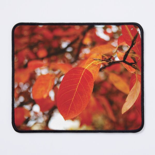 Item preview, AUTUMN CALLS designed and sold by A H GINARTE.