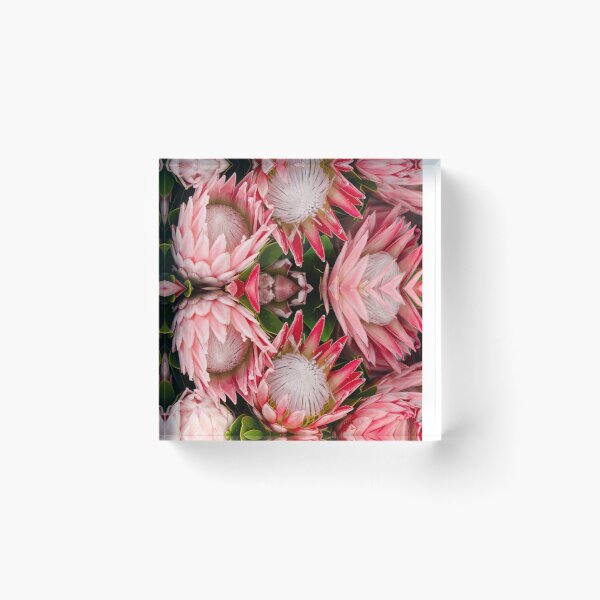 Item preview, South African  Protea designed and sold by Spasija.