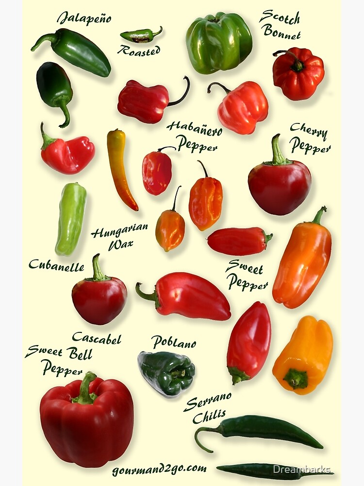 Pepper Identification Chart