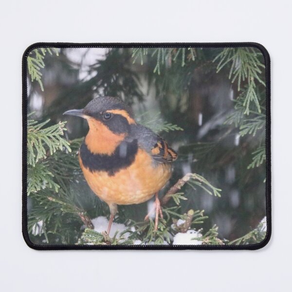Item preview, Varied Thrush designed and sold by Penwortham.