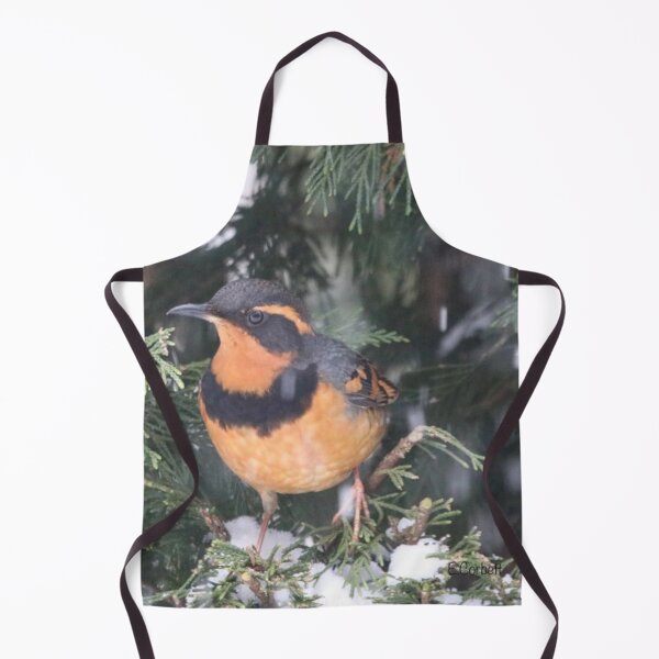 Item preview, Varied Thrush designed and sold by Penwortham.