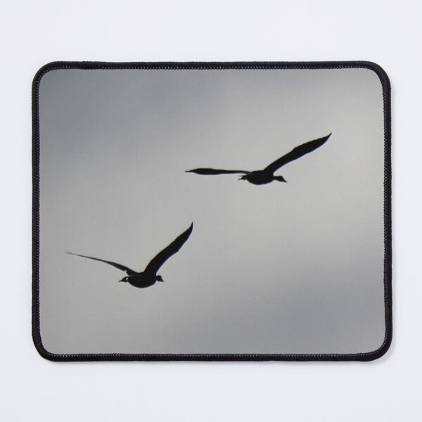 Item preview, Two Canada Geese in Flight designed and sold by Penwortham.