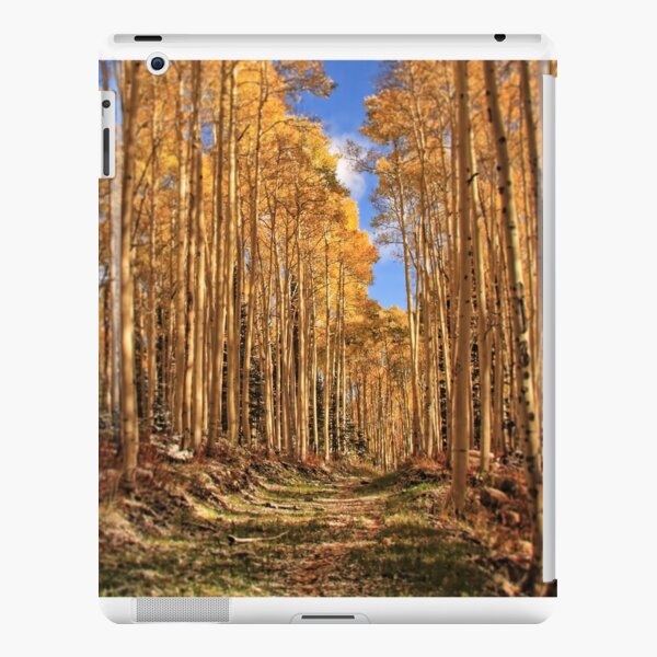 Autumn's Embrace Tablet Case iPad Snap Case