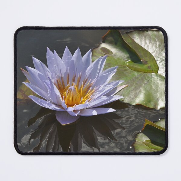 Item preview, Lily designed and sold by Savannah Gibbs.