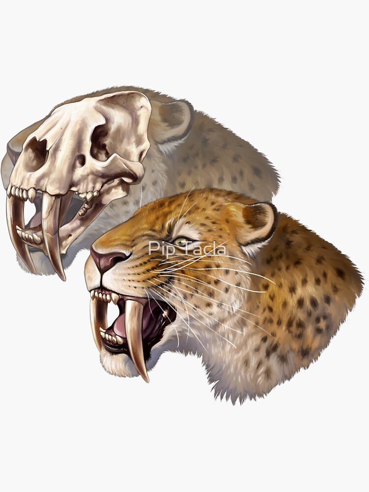 Sabre-toothed Cat (Smilodon fatalis) by antarcticpip
