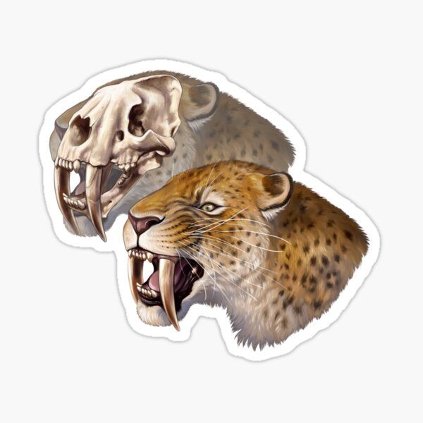 Sabre-toothed Cat (Smilodon fatalis) Sticker