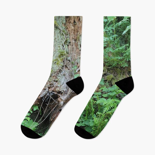 Item preview, Tree Trunk designed and sold by Djjin66.