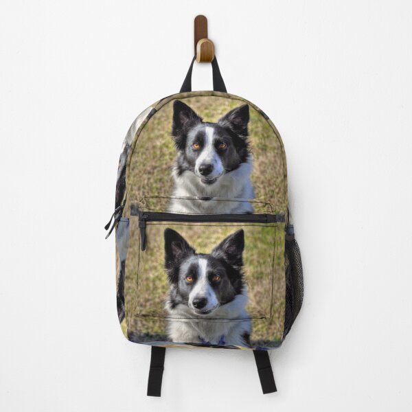 Item preview, Border Collie designed and sold by Savannah Gibbs.