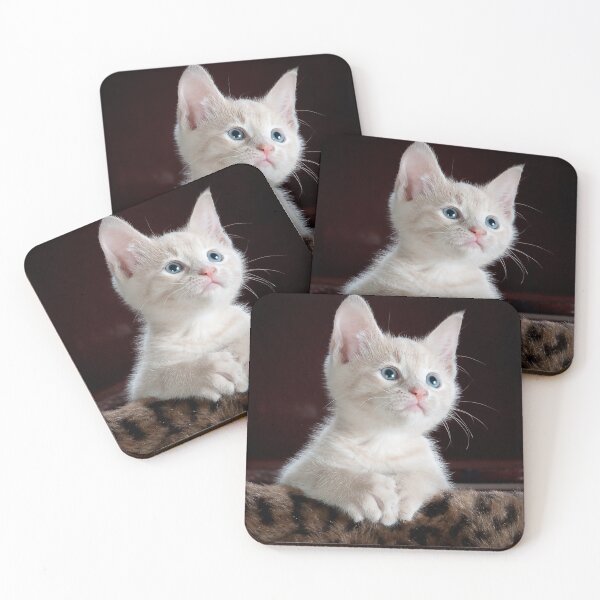 Item preview, Babby kitten cute cat  designed and sold by DiazTv.