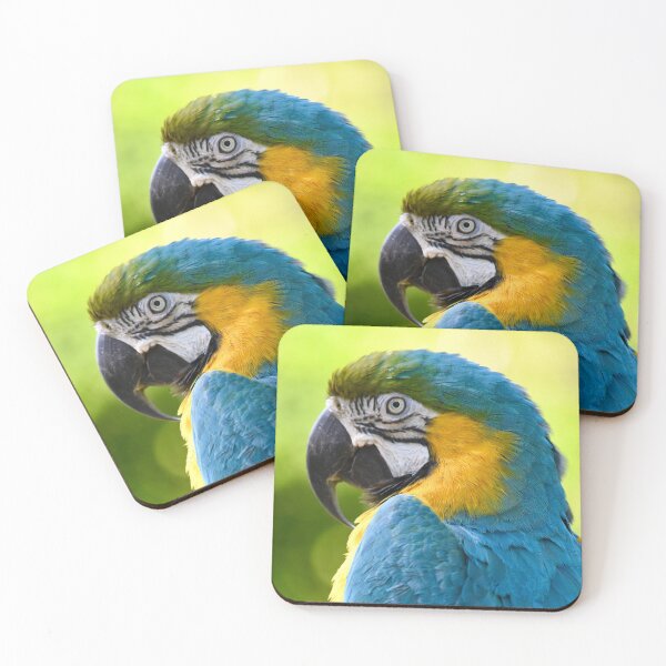 Item preview, Beautiful Blue and Gold Macaw designed and sold by richardbryce.