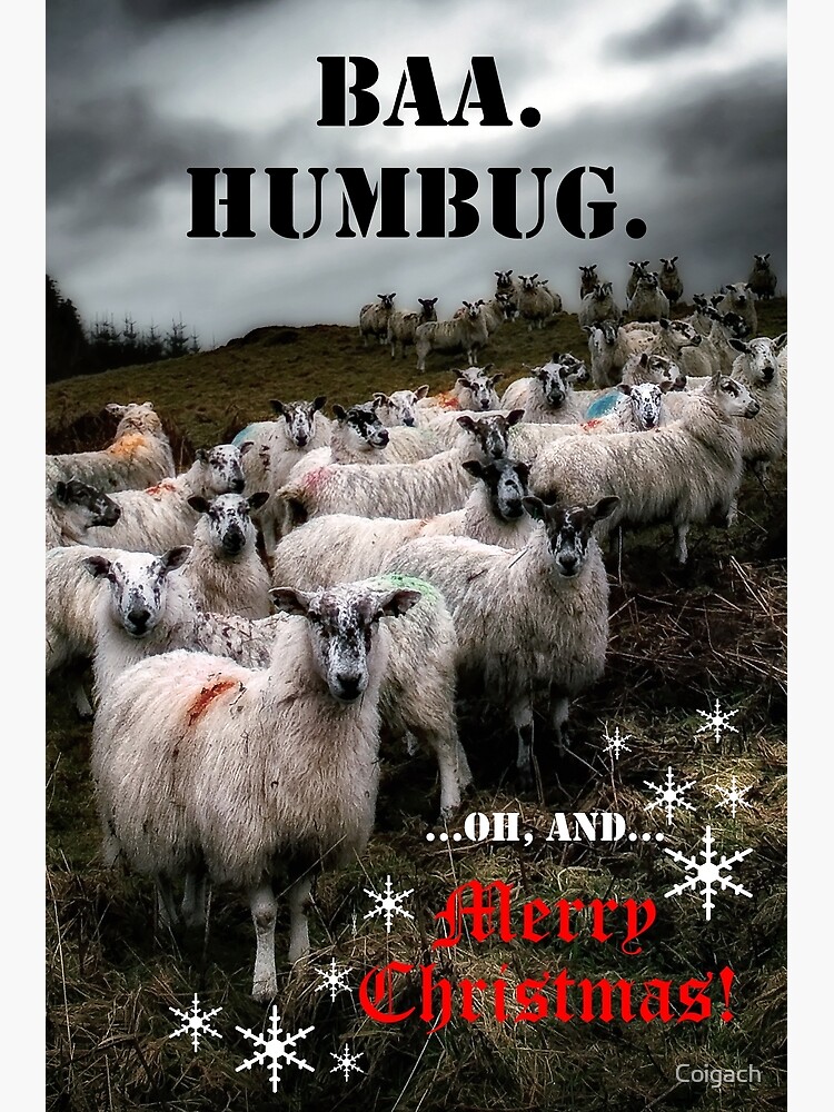 Thumbnail 2 of 2, Postcard, BAA.HUMBUG. Christmas Cards 2022 designed and sold by Coigach.