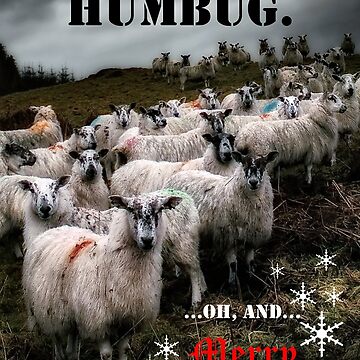 Artwork thumbnail, BAA.HUMBUG. Christmas Cards 2022 by Coigach