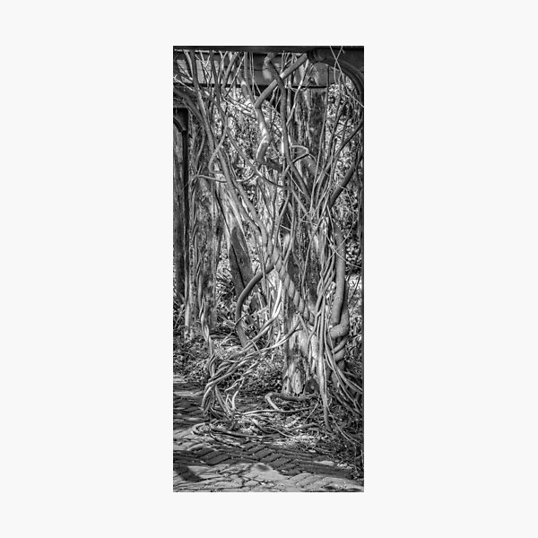 Item preview, A Tangle Of Vines designed and sold by Thomasyoung.