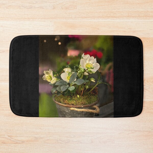 Item preview, Christmas Rose designed and sold by Alisonchambers2.