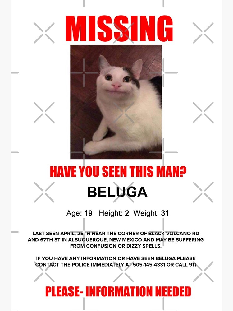 beluga cat meme | Art Board Print