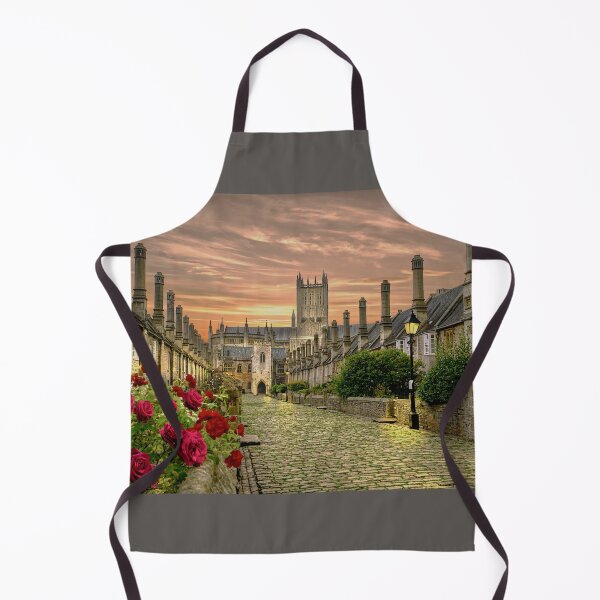 Item preview, Vicars Close In Wells designed and sold by Alisonchambers2.