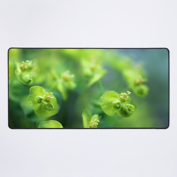 Item preview, Euphorbia designed and sold by cuprum.