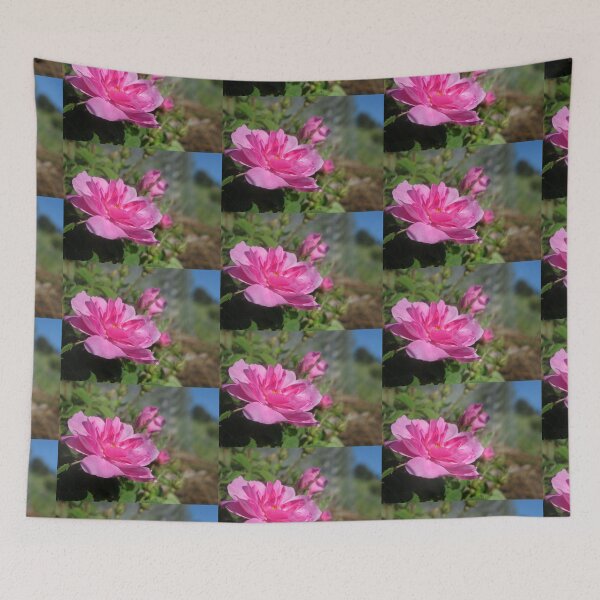 Item preview, My Oh My - A Pink Rose Beauty designed and sold by Sharon Goldsworthy.