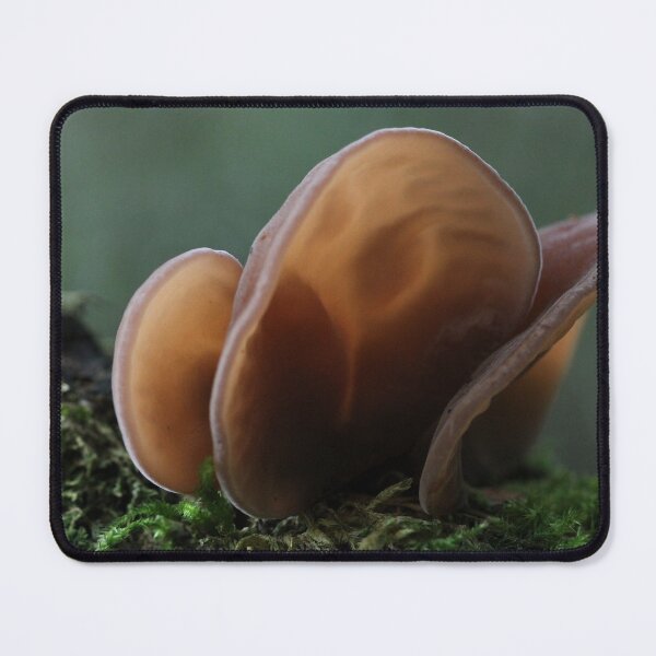 Item preview, Jew's ear designed and sold by cuprum.